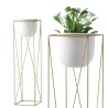 PRISMA S/2 pots fleurs piédestal Doré
