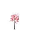 Cerisier Japon 180