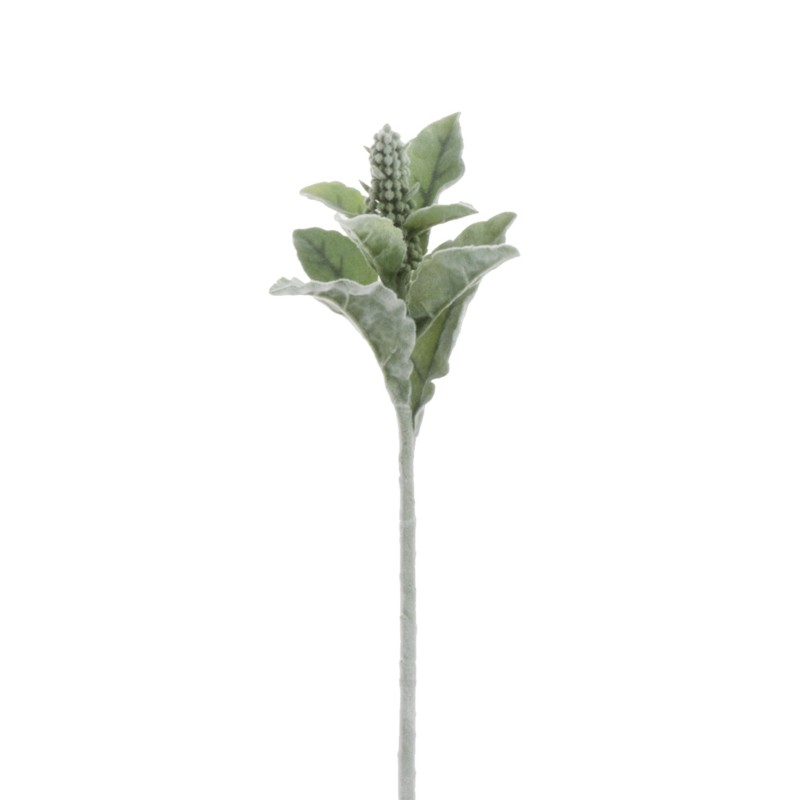 Fleur STATICE  10x8x33cm