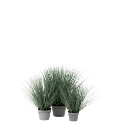 Herbes En Pot Metal Plastique Bleu Vert