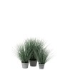 Herbes En Pot Metal Plastique Bleu Vert