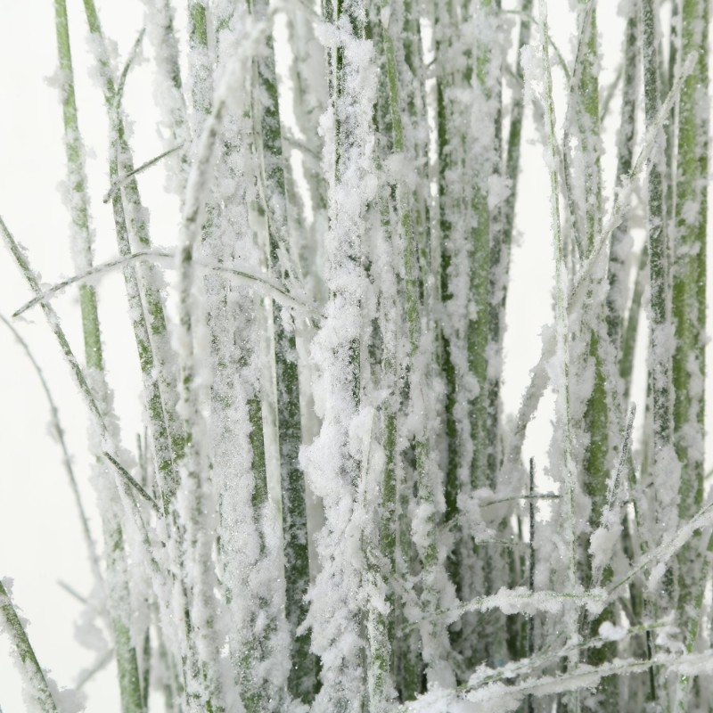 Graminé Neige 88cm