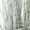 Graminé Neige 88cm