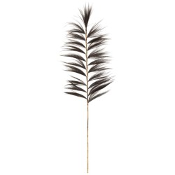 Branche Rayung Herbe Noir