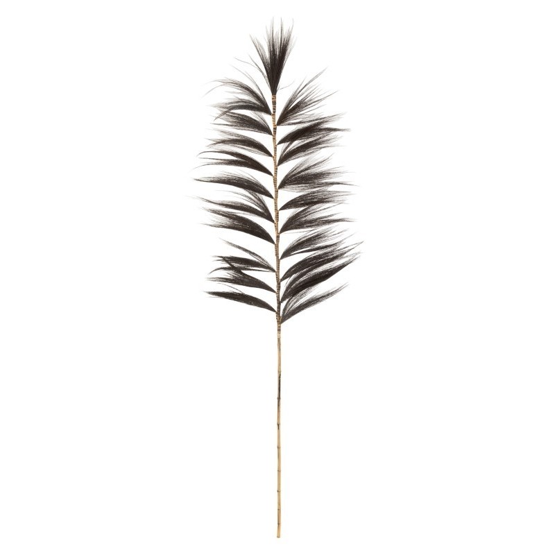Branche Rayung Herbe Noir