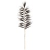 Branche Rayung Herbe Noir