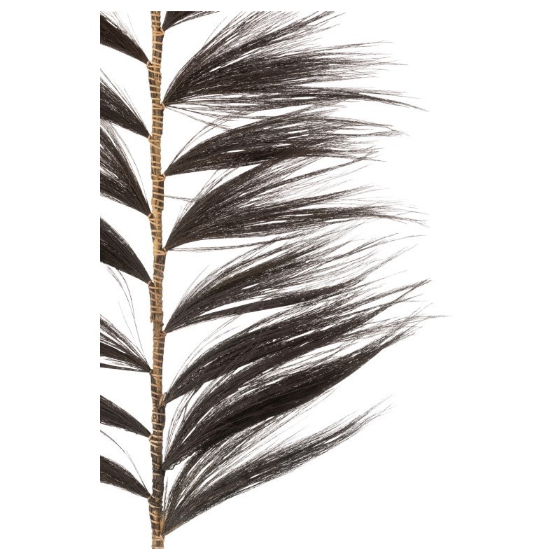 Branche Rayung Herbe Noir