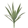 SANSEVERIA Tige 12 feuilles