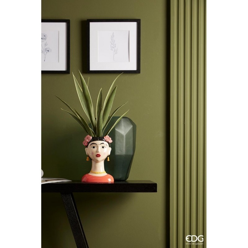 SANSEVERIA Tige 12 feuilles