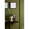 SANSEVERIA Tige 12 feuilles