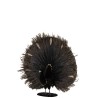 Paon plumes ouvertes - Noir