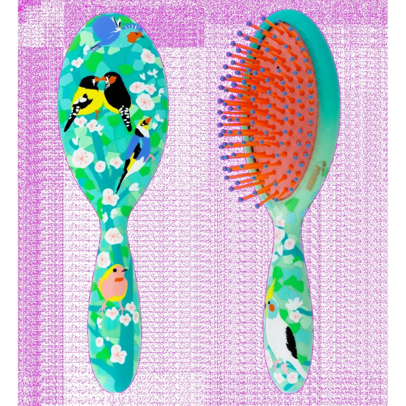 Petite brosse à cheveux LADYPOP Small Birds