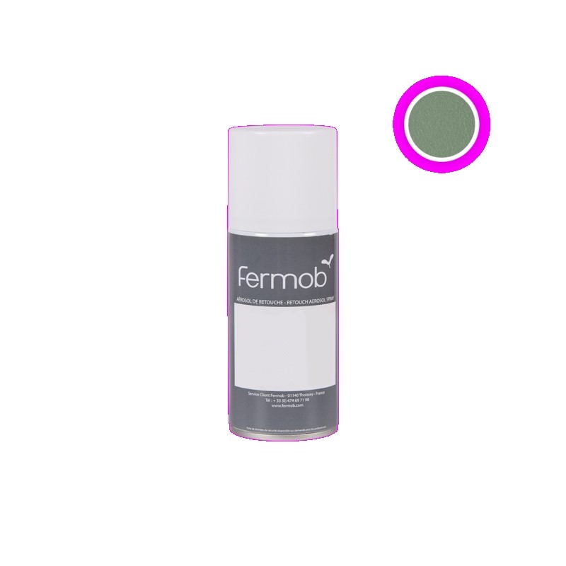 AEROSOL retouche 150ml Produit d'entretien