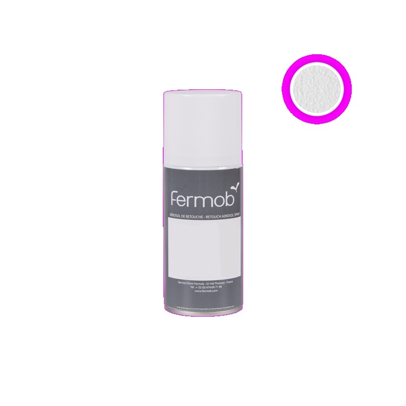 AEROSOL retouche 150ml Produit d'entretien
