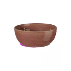 Poke Bowl Dragon Fruit