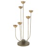 Tulipa Chandelier 6 branches