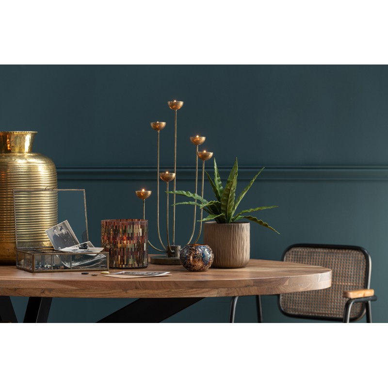 Tulipa Chandelier 6 branches