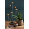 Tulipa Chandelier 6 branches