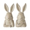 Jano le lapin