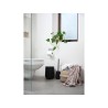 Brosse WC NOVA One