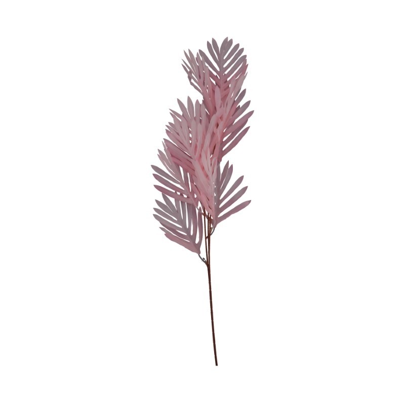 PALM Tige palmier