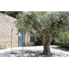 Pied simple BALAD