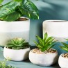 MINERA Pots céramique Vert Cactus