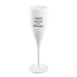 Save Water Drink Champagne / Coupe de Champagne CHEERS