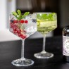 CLUB 15 Verres à cocktail S/2