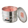 PAINT Bougie extérieure à la citronelle couleur Blush