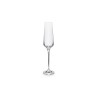 MYSTIQUE Verres à Champagne S/4
