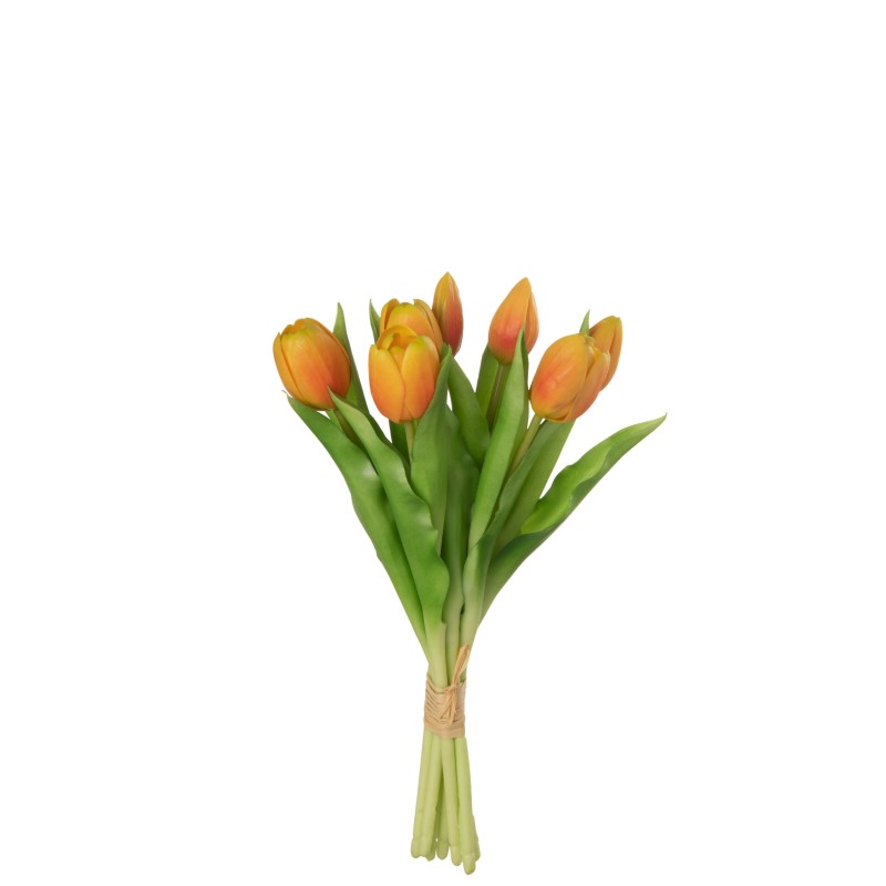 Bouquet Tulipes Orange