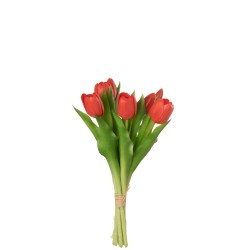 Bouquet Tulipes Rouge/Corail