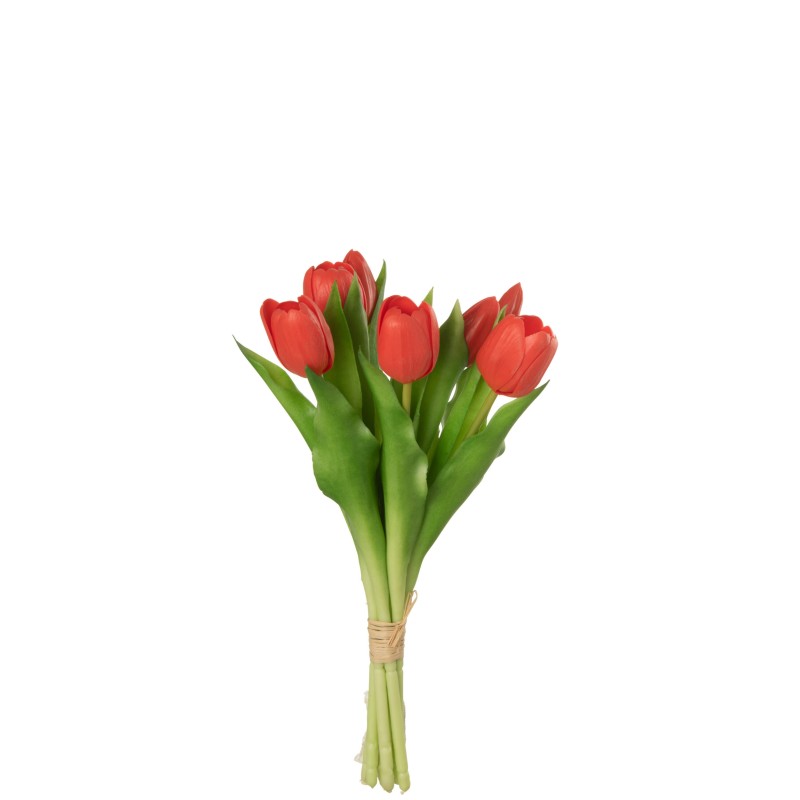 Bouquet Tulipes Rouge/Corail