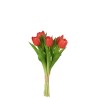 Bouquet Tulipes Rouge/Corail