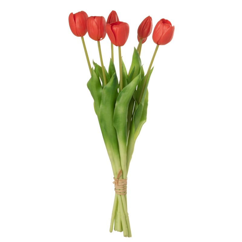 Bouquet Tulipes Rouge/Corail