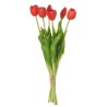 Bouquet Tulipes Rouge/Corail
