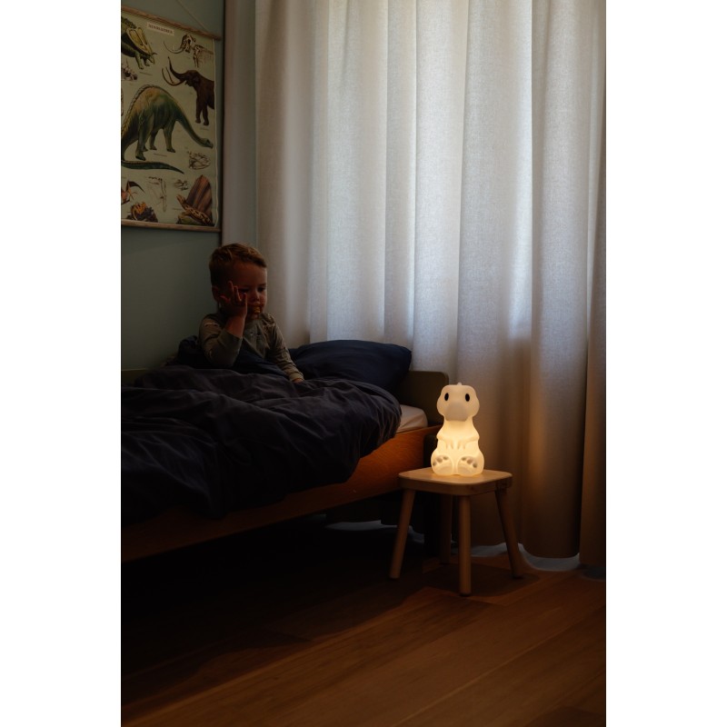 RENA Lampe rechargeable