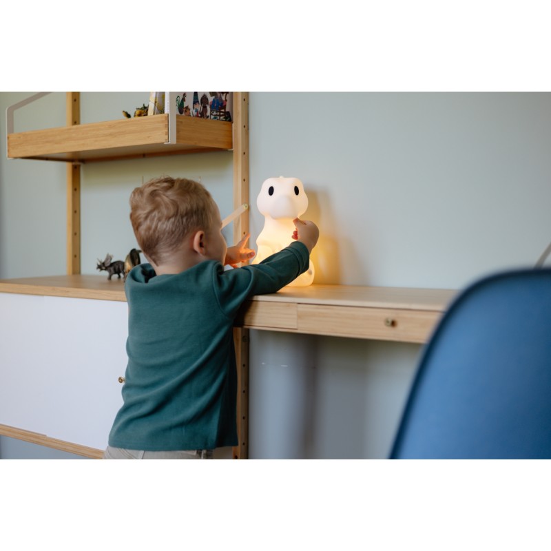 RENA Lampe rechargeable