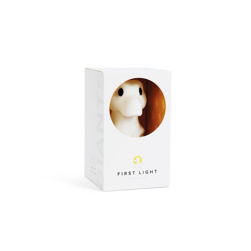 RENA Lampe rechargeable