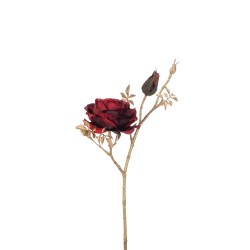 Rose tige dorée avec bourgeons