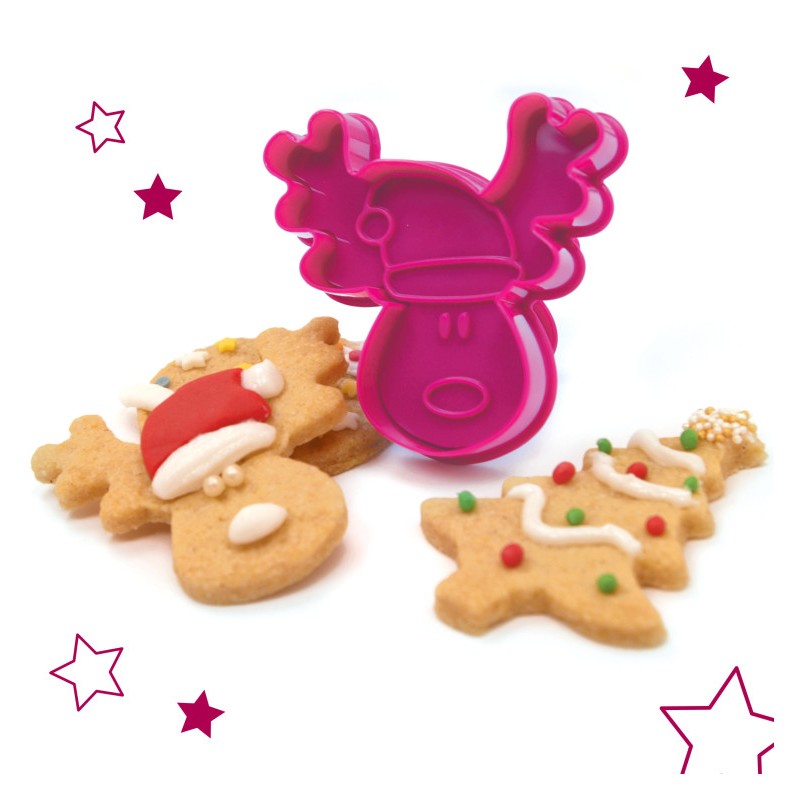 Kit Je fais mes biscuits de NOEL