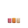 LILI photophore cylindre feuille color pop Small