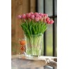 Bouquet Tulipes Vieux Rose