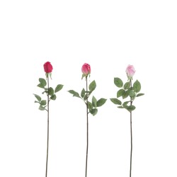 Rose fermée en tige 74cm
