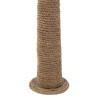 Palmier en Zostere