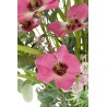Bouquet de printemps