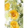 Bouquet de printemps