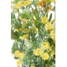Bouquet de printemps