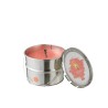 PAINT Bougie extérieure à la citronelle couleur Corail